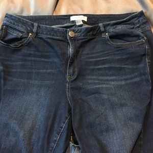 Lane Bryant Jeans